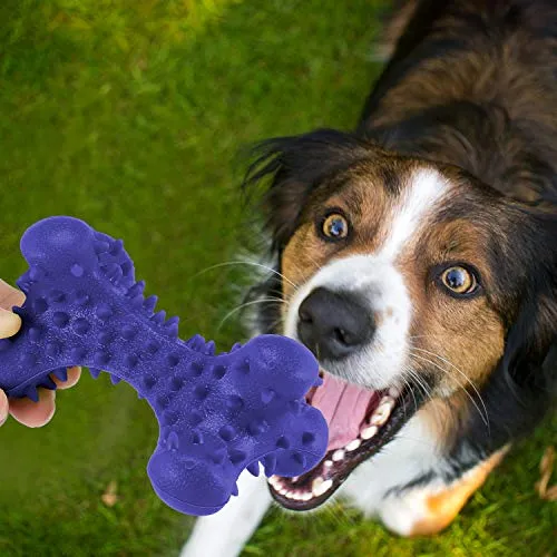 HIKISS Dog Chew Toy for Aggressive Chewers,Dog Toothbrush Chew Toy Stick Non-Toxic Rubber Dog Bone Toy Safe Reduces Boredom