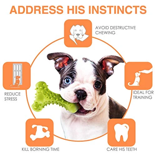 HIKISS Dog Chew Toy for Aggressive Chewers,Dog Toothbrush Chew Toy Stick Non-Toxic Rubber Dog Bone Toy Safe Reduces Boredom