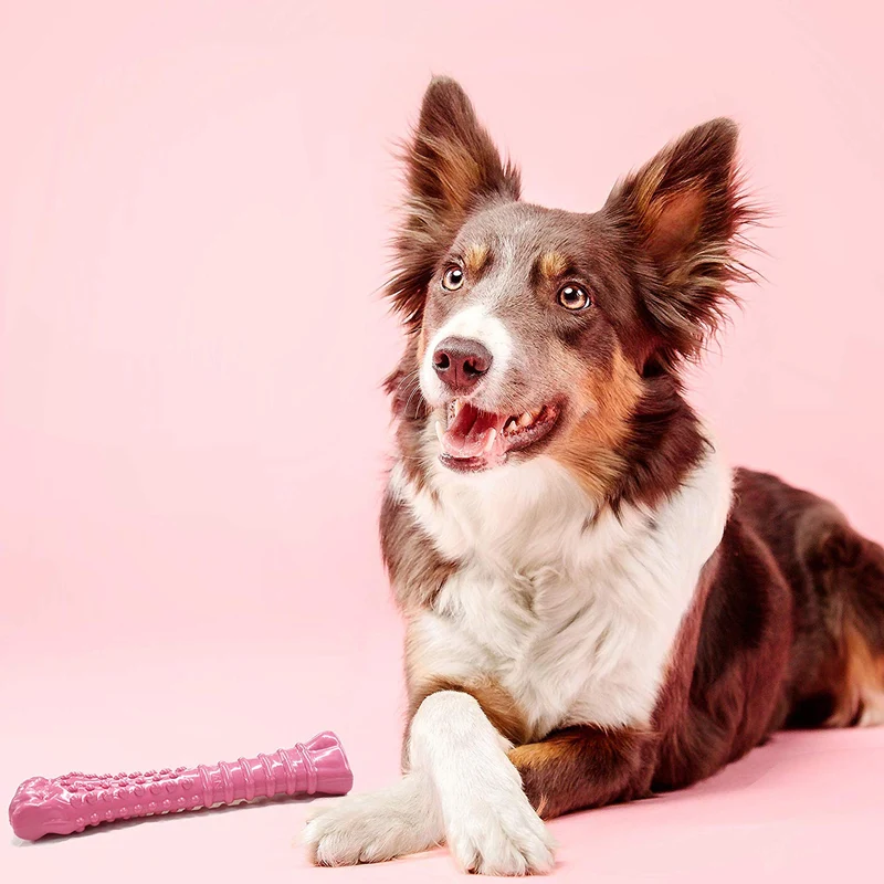 Nylabone - Masticable para perros con textura rosa, para sensibilización sobre el cáncer de mama, extragrande