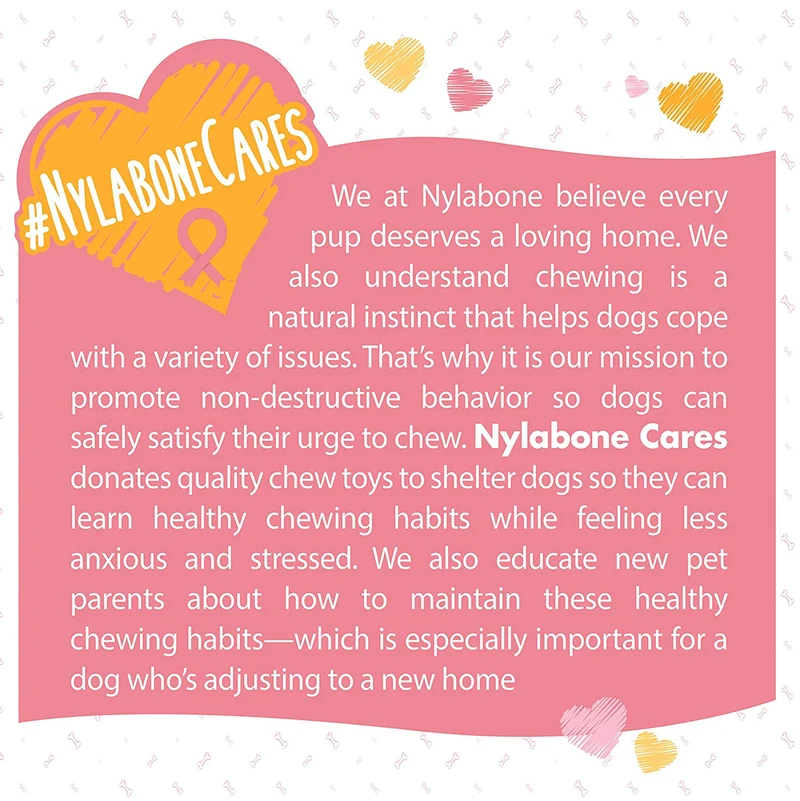 Nylabone - Masticable para perros con textura rosa, para sensibilización sobre el cáncer de mama, extragrande