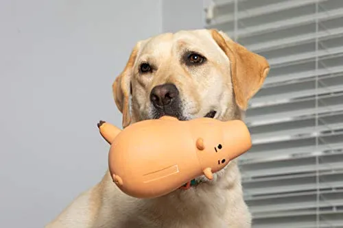 Hyper Pet Disney Toy Story 4 Juguete interactivo para perro, superchirriante