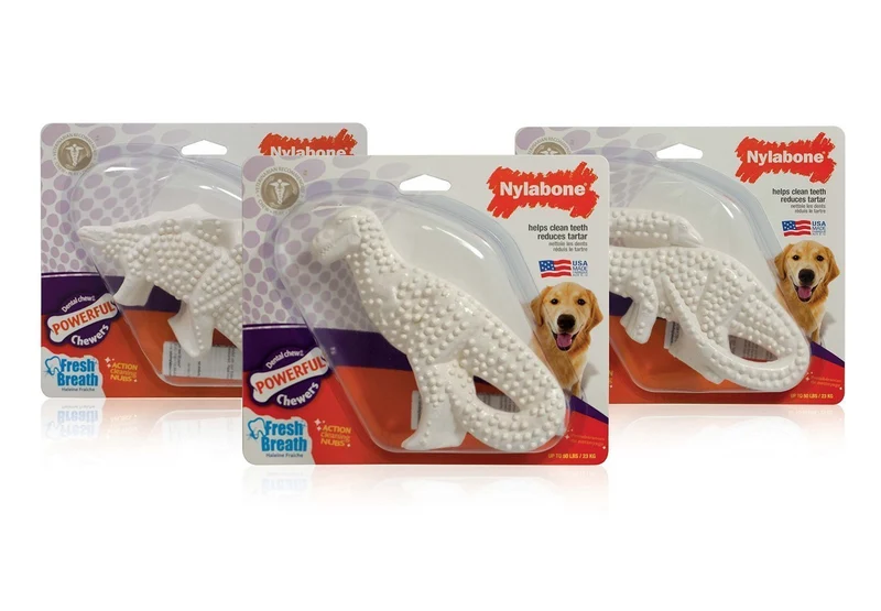 3 Pack Nylabone Durable Dental Chew juguete de dinosaurio (dinosaurio varía)