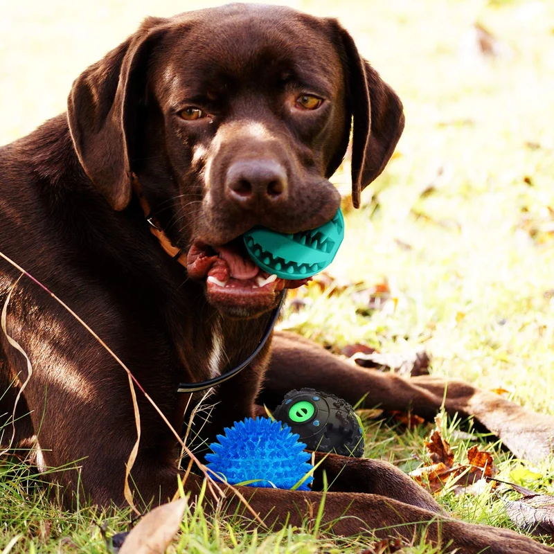 Vitscan Juguete dispensador de golosinas para perros, pelota de regalo con chirriador de goma, juguete para masticar para perros, mejor para cachorros y perros pequeños y medianos, aumenta el coeficiente intelectual y la estimulación mental (paquete de 3)