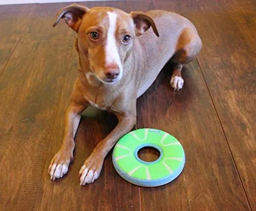 ¡Chuckit! Juguete para perro Zipflight