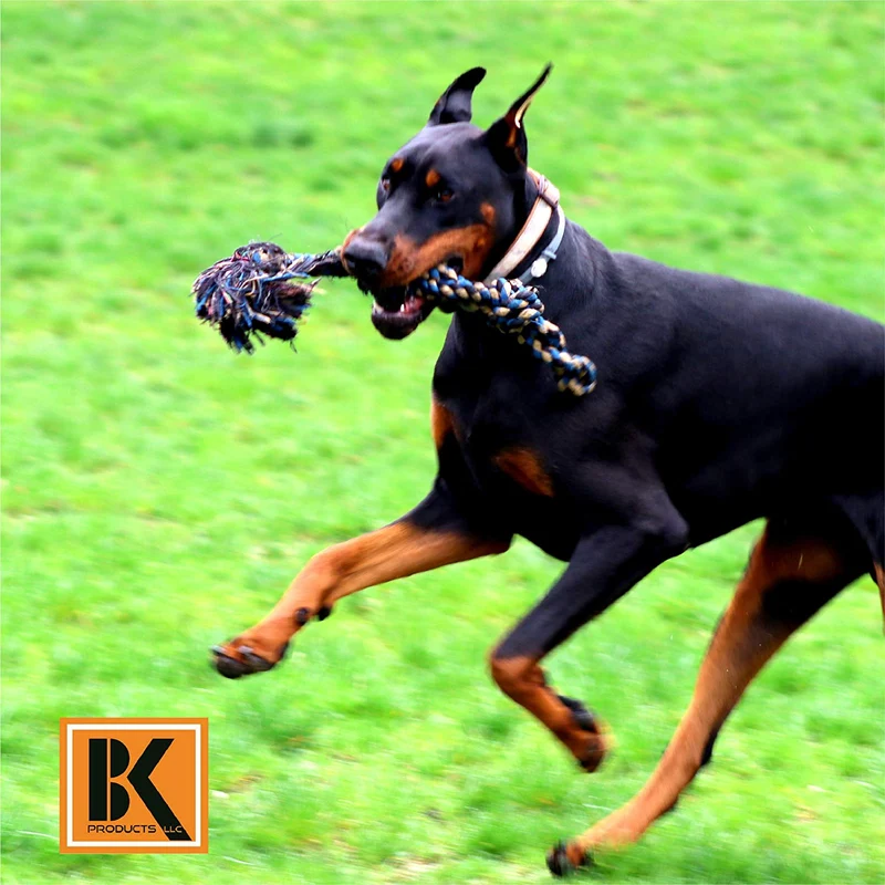 BK PRODUCTS LLC Juguetes para perros para masticadores agresivos, juego de 2 cuerdas para perros XL resistentes, juguete para cachorros de raza grande, perros medianos y grandes para masticar, dentición, Tug of War