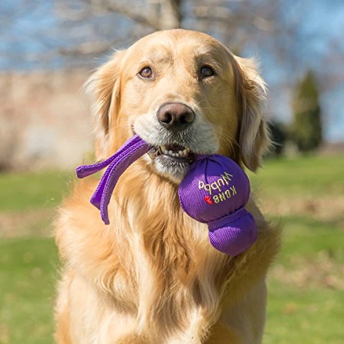 Juguete para perro de Kong Wubba