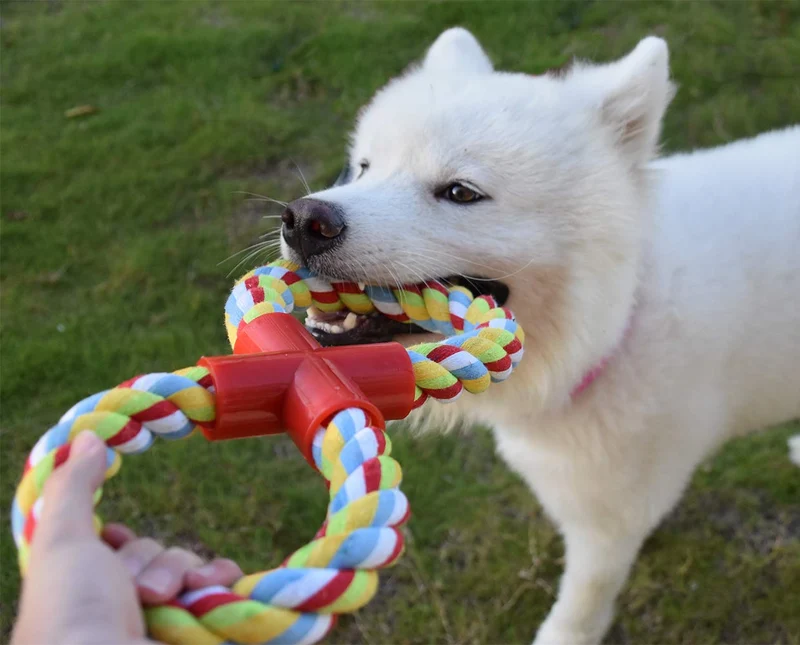 LECHONG Juguete de cuerda para perros para masticadores agresivos, 8 formas duraderas, juguetes de entrenamiento para perros grandes, juguete de juguete para masticar y jugar