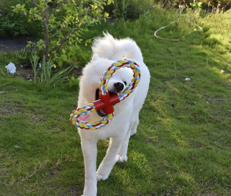 LECHONG Juguete de cuerda para perros para masticadores agresivos, 8 formas duraderas, juguetes de entrenamiento para perros grandes, juguete de juguete para masticar y jugar