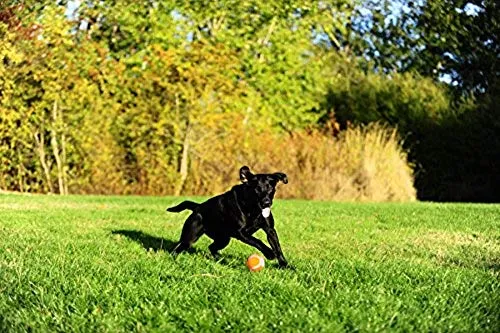 Pelota de tenis