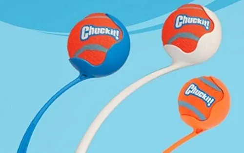 Pelota de tenis
