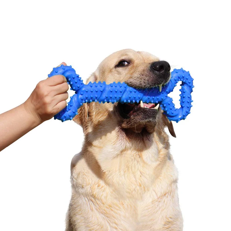 LECHONG Juguetes para masticar para perros de 13 pulgadas, forma de hueso, juguetes para perros extra grandes con diseño convexo, juguete fuerte para masticadores agresivos, limpieza de dientes para perros medianos y grandes