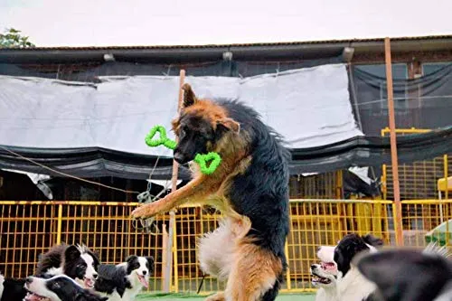 LECHONG Juguetes para masticar para perros de 13 pulgadas, forma de hueso, juguetes para perros extra grandes con diseño convexo, juguete fuerte para masticadores agresivos, limpieza de dientes para perros medianos y grandes