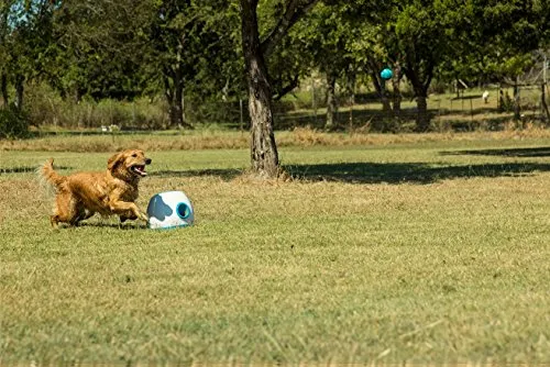 iFetch Interactive Ball Launchers for Dogs