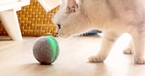 Pelota de mimbre de animal, 100% automática e interactiva para mantener a tus perros y gatos a la compañía todo el día, la alegría de tu mascota cuando estás solo en casa.