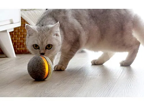 Pelota de mimbre de animal, 100% automática e interactiva para mantener a tus perros y gatos a la compañía todo el día, la alegría de tu mascota cuando estás solo en casa.
