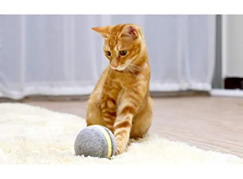 Pelota de mimbre de animal, 100% automática e interactiva para mantener a tus perros y gatos a la compañía todo el día, la alegría de tu mascota cuando estás solo en casa.