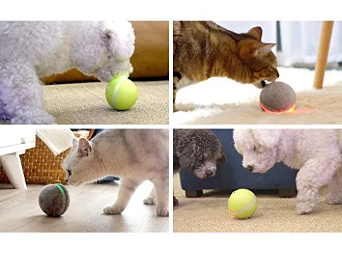 Pelota de mimbre de animal, 100% automática e interactiva para mantener a tus perros y gatos a la compañía todo el día, la alegría de tu mascota cuando estás solo en casa.