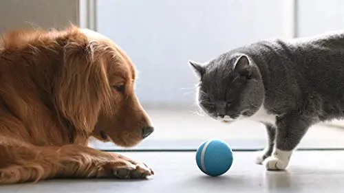 Pelota de mimbre de animal, 100% automática e interactiva para mantener a tus perros y gatos a la compañía todo el día, la alegría de tu mascota cuando estás solo en casa.