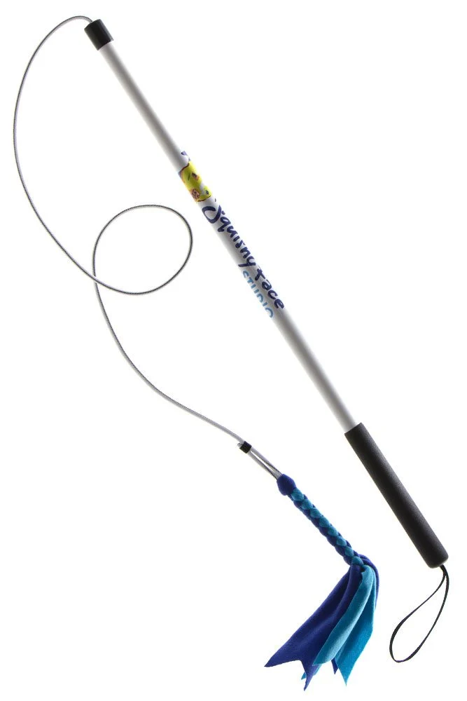 Squishy Face Studio Pole V2 con señuelo de forro polar trenzado – Juguete de perro duradero para divertido entrenamiento y ejercicio de obediencia