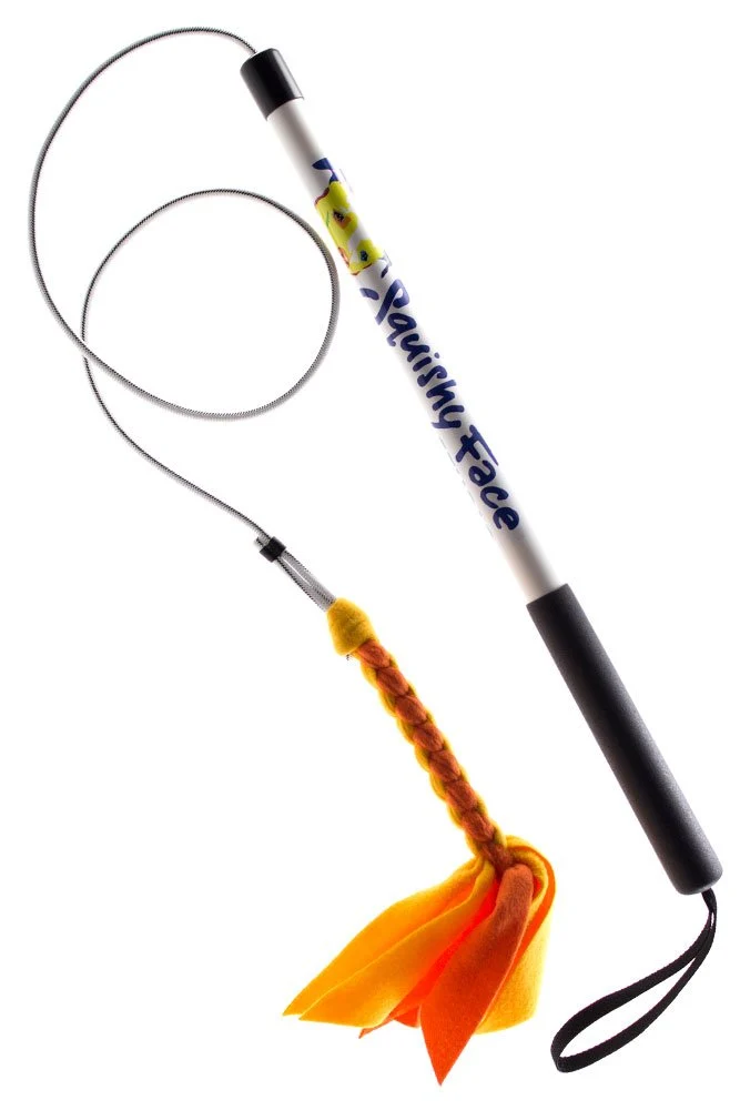 Squishy Face Studio Pole V2 con señuelo de forro polar trenzado – Juguete de perro duradero para divertido entrenamiento y ejercicio de obediencia