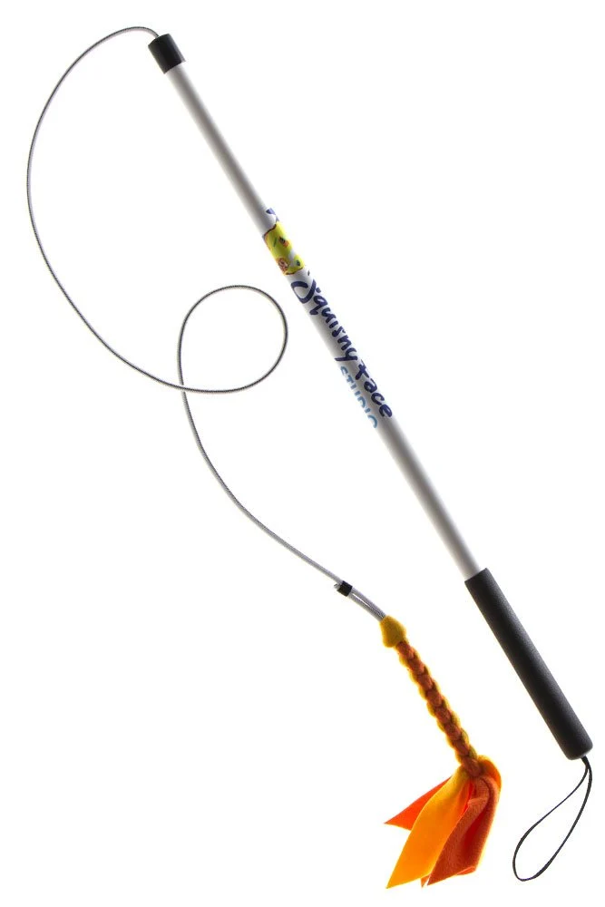 Squishy Face Studio Pole V2 con señuelo de forro polar trenzado – Juguete de perro duradero para divertido entrenamiento y ejercicio de obediencia