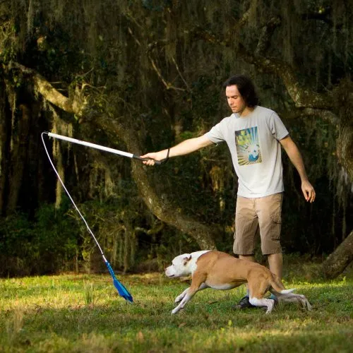 Squishy Face Studio Pole V2 con señuelo de forro polar trenzado – Juguete de perro duradero para divertido entrenamiento y ejercicio de obediencia