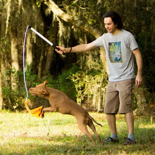 Squishy Face Studio Pole V2 con señuelo de forro polar trenzado – Juguete de perro duradero para divertido entrenamiento y ejercicio de obediencia