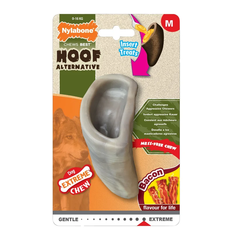 Nylabone Dura perro Masticar juguete