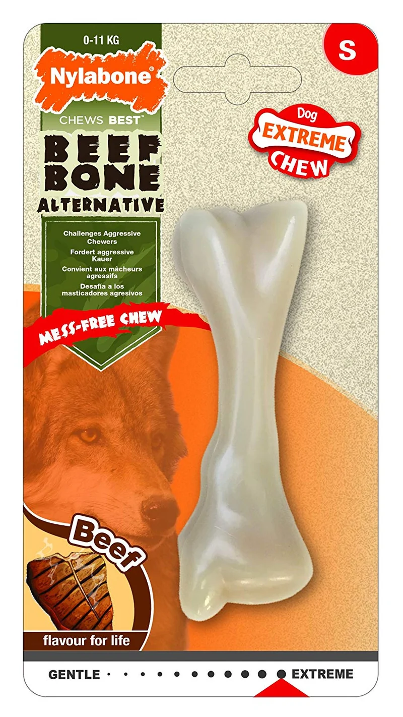 Nylabone Dura perro Masticar juguete
