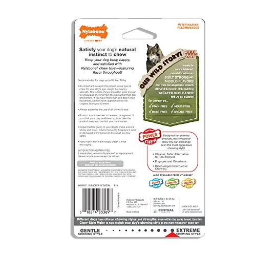 Nylabone Dura perro Masticar juguete