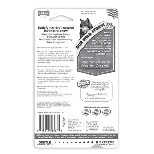 Nylabone Dura perro Masticar juguete
