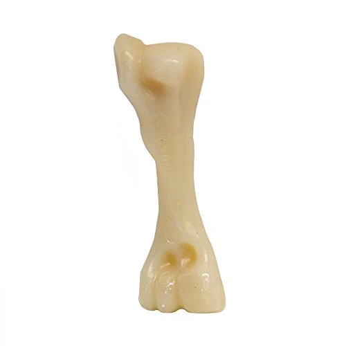 Nylabone Dura perro Masticar juguete