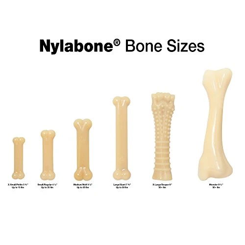Nylabone Dura perro Masticar juguete