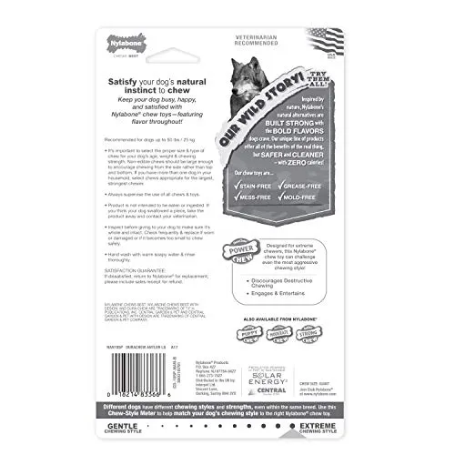 Nylabone Dura perro Masticar juguete
