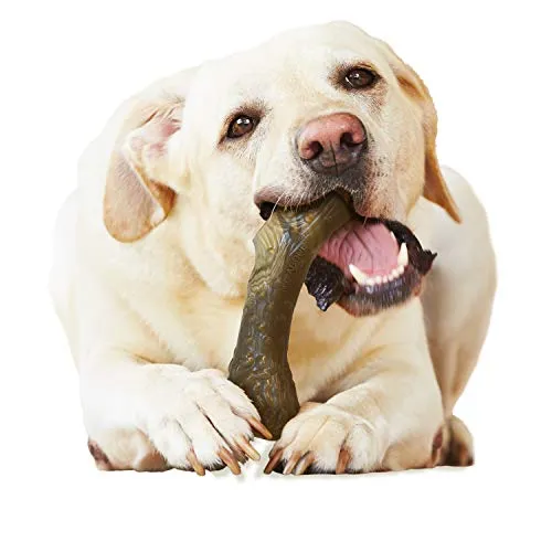 Nylabone Dura perro Masticar juguete