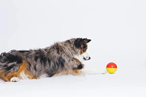 Juguete interactivo para perros con sonidos de animales de Pet Qwerks, hace que el asador y la selva suene cuando se tocan