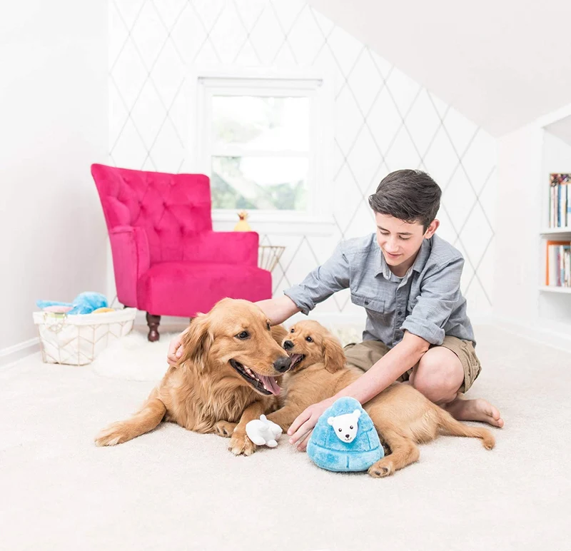 ZippyPaws – Zoo Friends Burrow, interactivo Squeaky Hide y buscar peluche perro juguete, oso polar iglú
