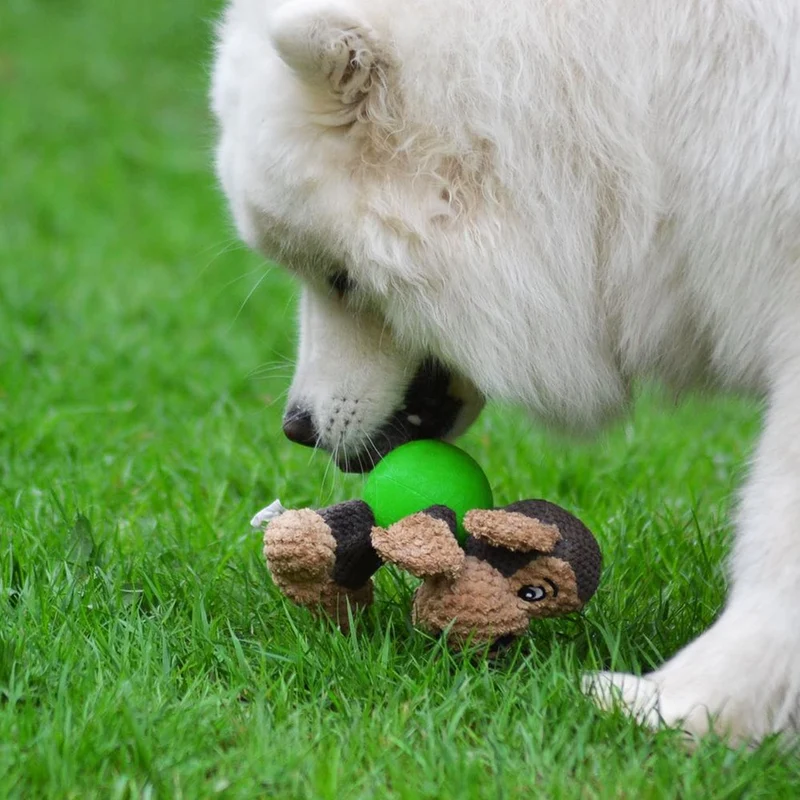 Juguete para perro Raffaelo, juguete de peluche, juguete de peluche para perro, juguete de masticar con espátula, limpieza de dientes para cachorros, perros pequeños y medianos