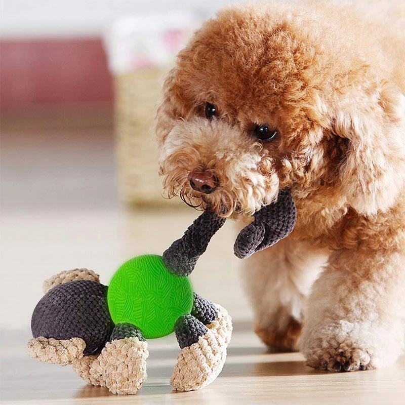 Juguete para perro Raffaelo, juguete de peluche, juguete de peluche para perro, juguete de masticar con espátula, limpieza de dientes para cachorros, perros pequeños y medianos