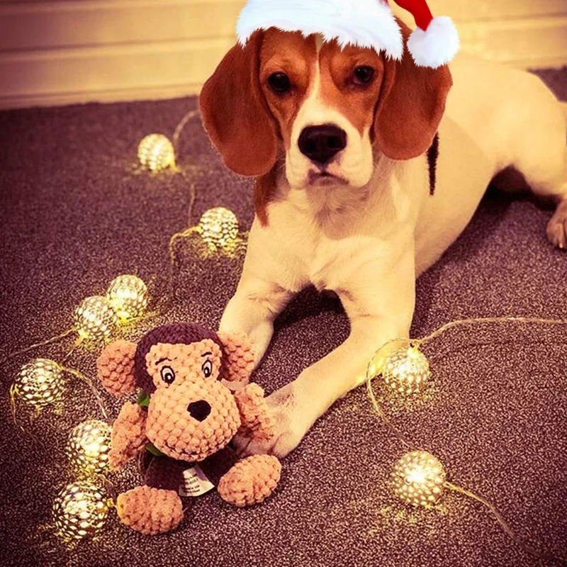 Juguete para perro Raffaelo, juguete de peluche, juguete de peluche para perro, juguete de masticar con espátula, limpieza de dientes para cachorros, perros pequeños y medianos