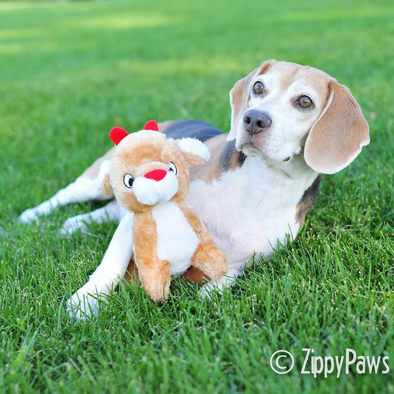 zippypaws Holiday Renos Squeaky Plush Dog Toy