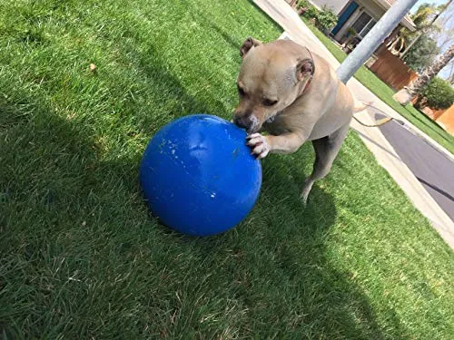 Prácticamente Indestructible (duro) mejores pelota para perros