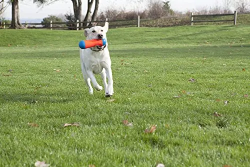 Lanzador de pelotas para perros ChuckIt! Juguete flotante para perros