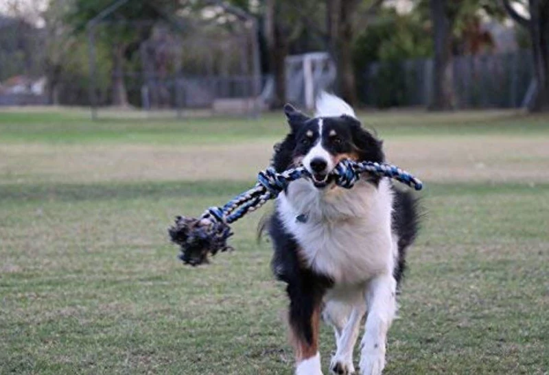 Juguete de cuerda para perros XL para masticadores agresivos – Beneficios no profesionales para perros – Extra grande perro cuerda juguetes para perros para perros grandes – grande perro juguete flotar – casi indestructible perro juguetes (1 pieza)