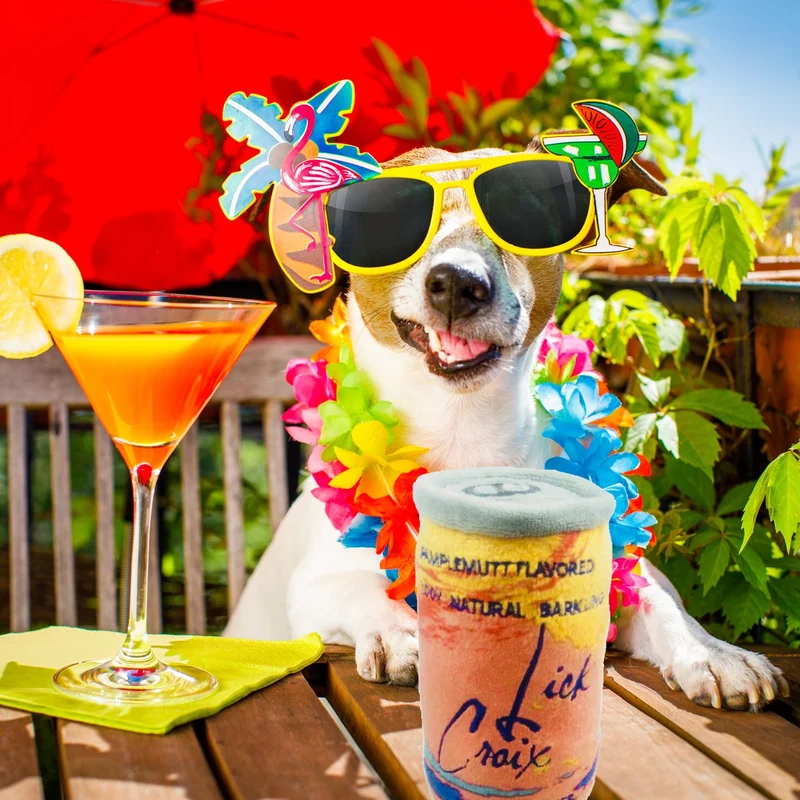 Haute Diggity Colección de Muttini Bar para Perro Único Squeaky Peluche Juguetes de Perro - Dogmestic e Impawted