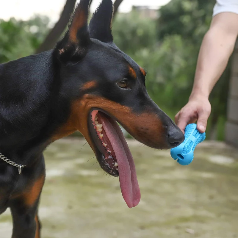 Chooseen Cepillo de dientes para perro, juguete para masticar para perros, resistente a las mordidas, cuidado dental eficaz, limpieza de dientes, color azul, para perros pequeños y medianos