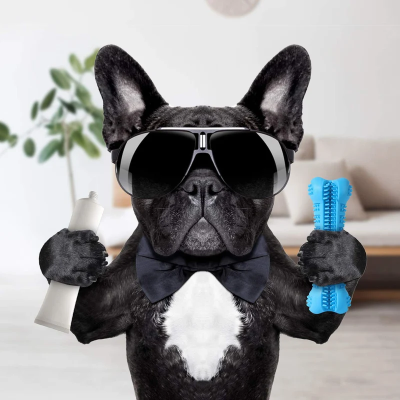 Chooseen Cepillo de dientes para perro, juguete para masticar para perros, resistente a las mordidas, cuidado dental eficaz, limpieza de dientes, color azul, para perros pequeños y medianos