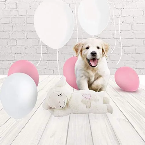 All for Paws Puppy Behavioral Aid Heart Beat cálido juguete, perro ansiedad sueño juguetes