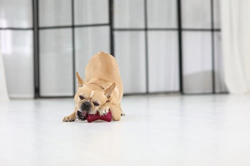 Bionic Bone Juguete resistente para perros