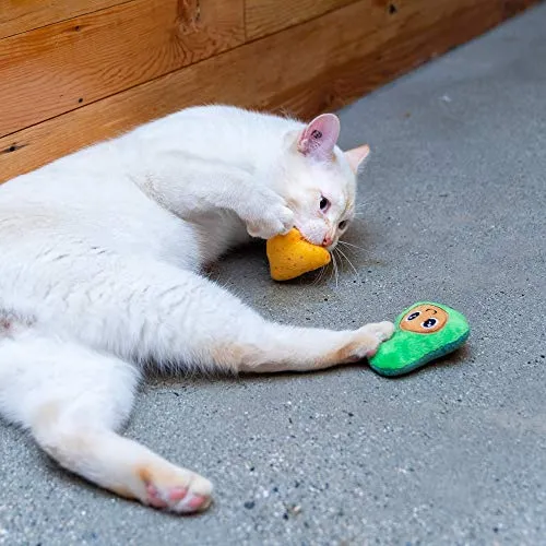 Pet Craft Supply Funny Enticing Crinkle Pouncing Cuddling Chasing Catnip & Silvervine Juguetes interactivos de alivio del aburrimiento para gatos